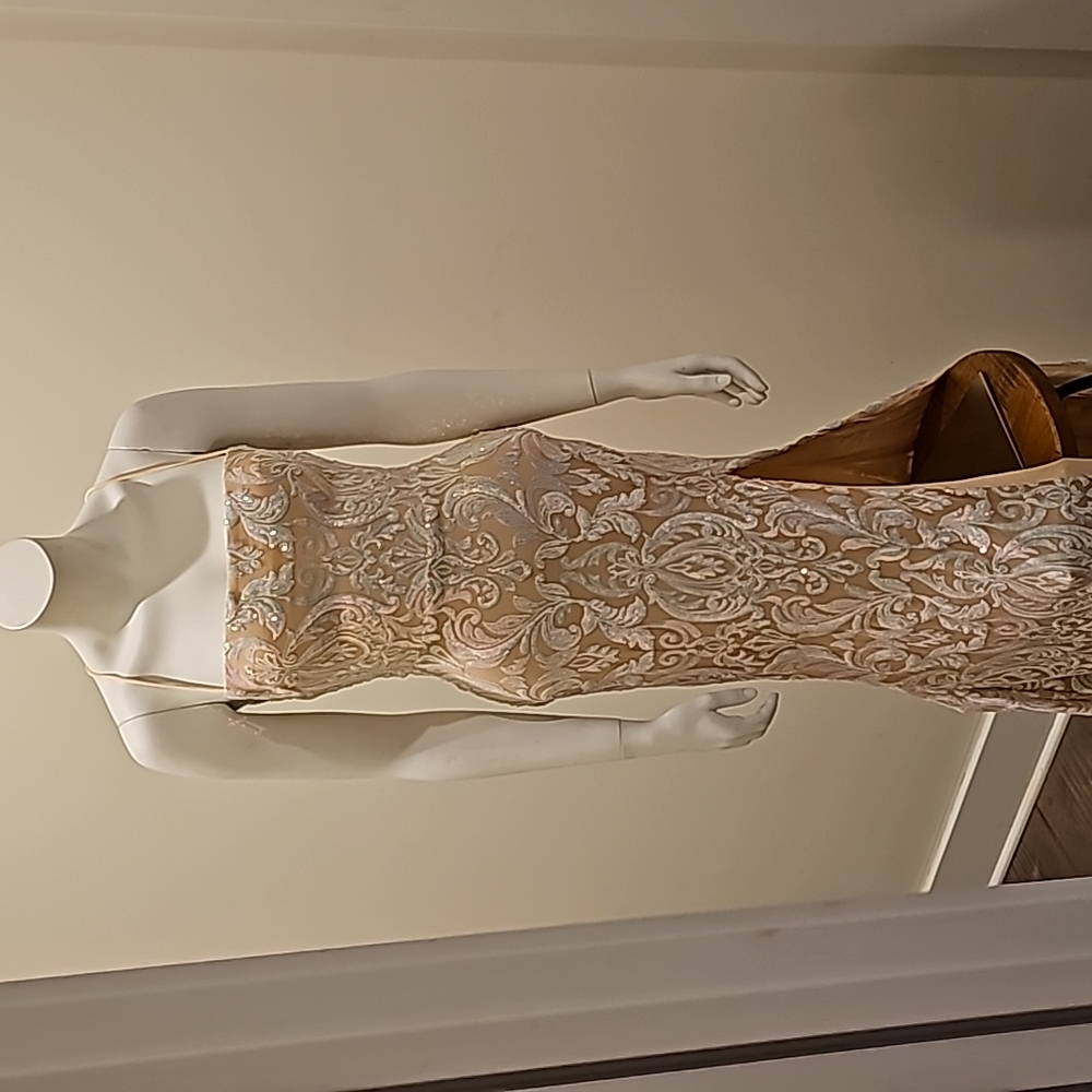 Windsor Prom Dress worn once